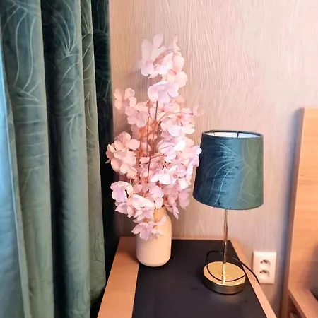 Banska - Centre & Private Parking Apartament Bańska Bystrzyca